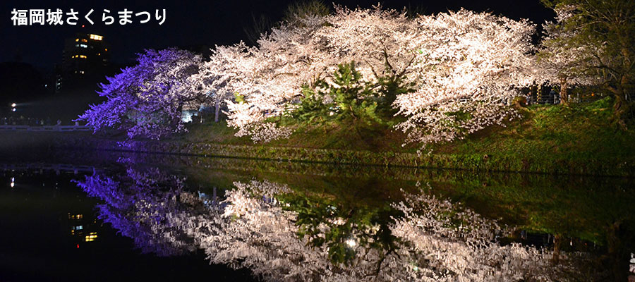 福岡城桜まつりのお堀に映る夜桜